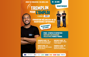 Recrutement en cours pour la formation en mécanique automobile en Martinique