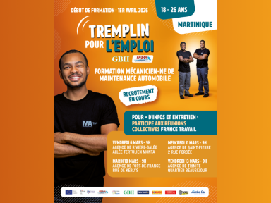 Recrutement en cours pour la formation en mécanique automobile en Martinique